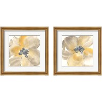 Framed 'Flower Tones 2 Piece Framed Art Print Set' border=