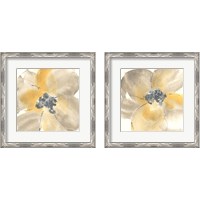 Framed Flower Tones 2 Piece Framed Art Print Set