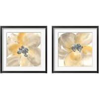 Framed Flower Tones 2 Piece Framed Art Print Set