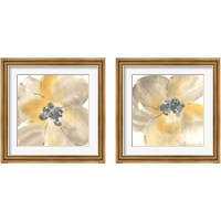 Framed 'Flower Tones 2 Piece Framed Art Print Set' border=