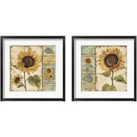 Framed 'Sunny Day 2 Piece Framed Art Print Set' border=