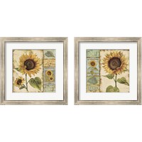 Framed 'Sunny Day 2 Piece Framed Art Print Set' border=