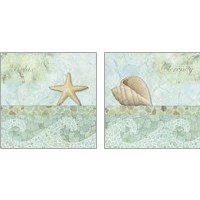 Framed 'Spa Shells 2 Piece Art Print Set' border=