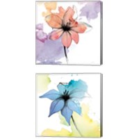 Framed 'Watercolor Graphite Flower 2 Piece Canvas Print Set' border=