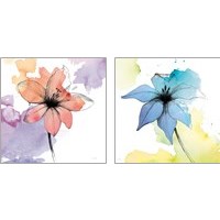 Framed 'Watercolor Graphite Flower 2 Piece Art Print Set' border=