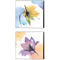 Framed 'Watercolor Graphite Flower 2 Piece Canvas Print Set' border=