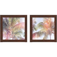 Framed 'Dream Palm 2 Piece Framed Art Print Set' border=