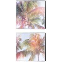 Framed 'Dream Palm 2 Piece Canvas Print Set' border=