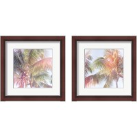 Framed 'Dream Palm 2 Piece Framed Art Print Set' border=