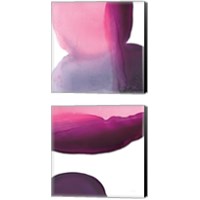 Framed 'Swish of Magenta 2 Piece Canvas Print Set' border=