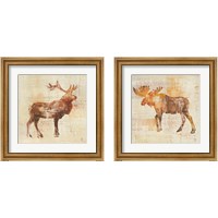 Framed 'Elk & Moose Study 2 Piece Framed Art Print Set' border=