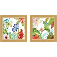 Framed 'Treasures of the Tropics 2 Piece Framed Art Print Set' border=