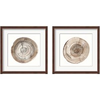 Framed Counting the Years 2 Piece Framed Art Print Set
