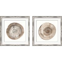 Framed 'Counting the Years 2 Piece Framed Art Print Set' border=
