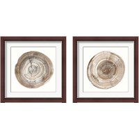 Framed Counting the Years 2 Piece Framed Art Print Set