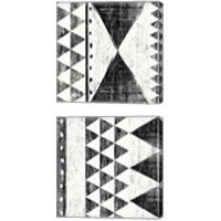 Framed Patterns of the Savanna BW 2 Piece Canvas Print Set