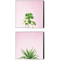 Framed 'Succulent Simplicity on Pink 2 Piece Canvas Print Set' border=