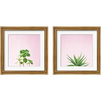 Framed 'Succulent Simplicity on Pink 2 Piece Framed Art Print Set' border=