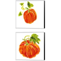 Framed 'Pumpkin Patch 2 Piece Canvas Print Set' border=