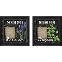 Framed Herb Guide 2 Piece Framed Art Print Set