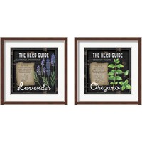 Framed Herb Guide 2 Piece Framed Art Print Set