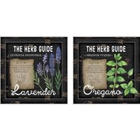 Framed Herb Guide 2 Piece Art Print Set