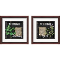 Framed 'Herb Guide 2 Piece Framed Art Print Set' border=