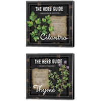 Framed 'Herb Guide 2 Piece Canvas Print Set' border=