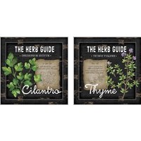 Framed 'Herb Guide 2 Piece Art Print Set' border=