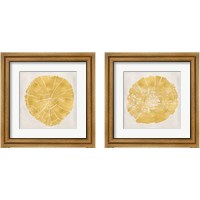 Framed 'Tree Stump Golden 2 Piece Framed Art Print Set' border=