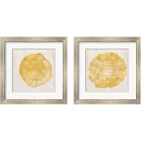 Framed 'Tree Stump Golden 2 Piece Framed Art Print Set' border=