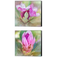 Framed 'Spring Bud 2 Piece Canvas Print Set' border=