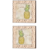 Framed 'Pineapple 2 Piece Canvas Print Set' border=