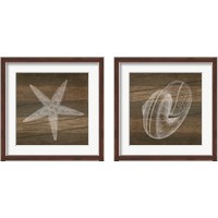 Framed 'Rustic Sealife - White 2 Piece Framed Art Print Set' border=