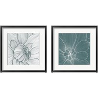 Framed 'Myrrhis Odorata 2 Piece Framed Art Print Set' border=