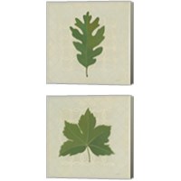 Framed 'Forest Leaves 2 Piece Canvas Print Set' border=