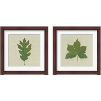 Framed 'Forest Leaves 2 Piece Framed Art Print Set' border=