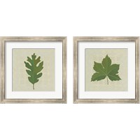 Framed 'Forest Leaves 2 Piece Framed Art Print Set' border=