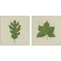 Framed Forest Leaves 2 Piece Art Print Set