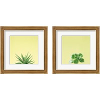 Framed Succulent Simplicity 2 Piece Framed Art Print Set