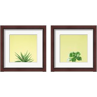 Framed Succulent Simplicity 2 Piece Framed Art Print Set