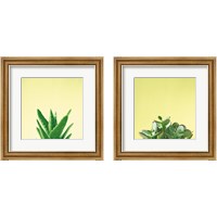 Framed Succulent Simplicity 2 Piece Framed Art Print Set