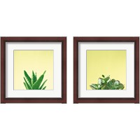 Framed Succulent Simplicity 2 Piece Framed Art Print Set