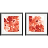 Framed 'Seashell Cosmos 2 Piece Framed Art Print Set' border=