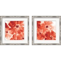 Framed 'Seashell Cosmos 2 Piece Framed Art Print Set' border=