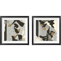 Framed 'Collage  2 Piece Framed Art Print Set' border=