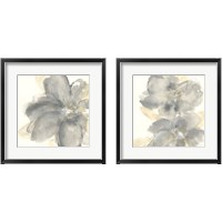 Framed Floral Gray 2 Piece Framed Art Print Set