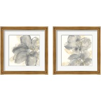 Framed 'Floral Gray 2 Piece Framed Art Print Set' border=