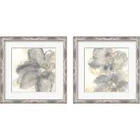 Framed Floral Gray 2 Piece Framed Art Print Set