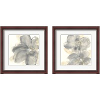 Framed Floral Gray 2 Piece Framed Art Print Set